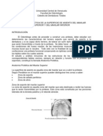 pregunta numero 6.pdf