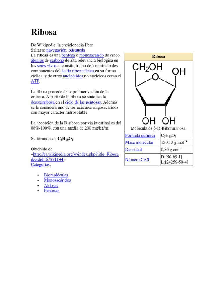Estructura y funciones de la ribosa | PDF | Glucosa | Fructosa