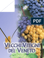 Vecchi Vitigni Completo E66