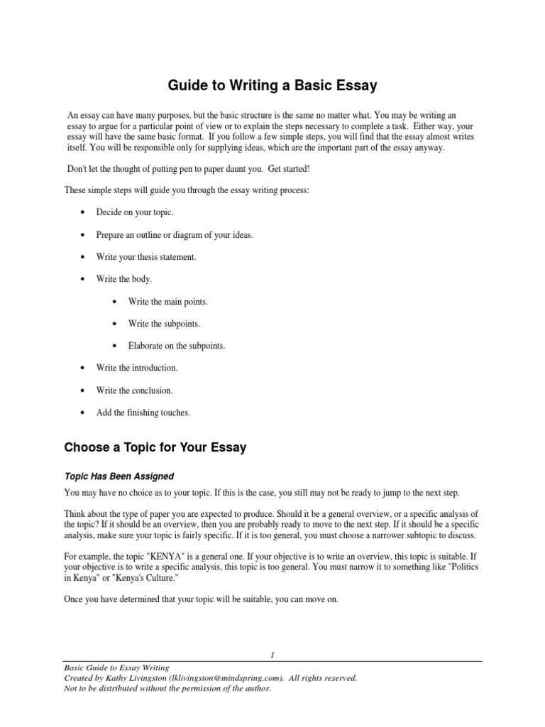 Guide To Writing A Basic Essay