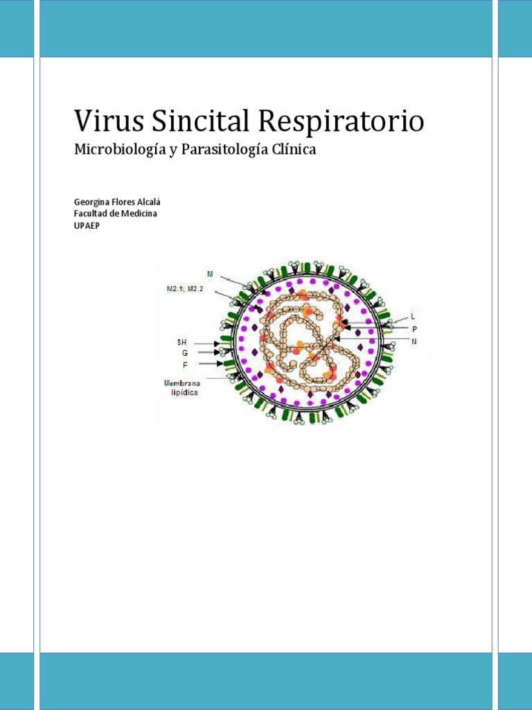 Virus Sincitial Respiratorio: Guía Completa | PDF | Virus | Neumonía