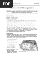 pré-história e primitivo
