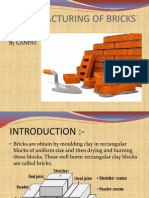 Manufacturing of Bricks