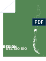 Estado de La Planificacion Urbana en Chile Cap 9 Biobio 1