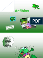 Los Anfibios