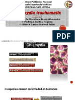 Chlamydia Trachomatis Corregida