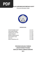 Download Isolasi Kurkumin Dari Rimpang Kunyit by Fathur Rahman Yusuf SN214599399 doc pdf