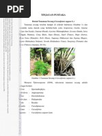 Download Tanaman Secang by ImeldaMiYukiRenyut SN214600845 doc pdf