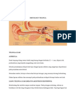 Histologi Telinga Ss