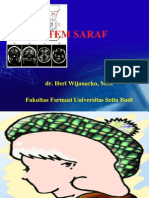 Sistem Saraf: Dr. Heri Wijanarko, M.Si Fakultas Farmasi Universitas Setia Budi