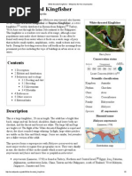 Download White-Throated Kingfisher - Wikipedia The Free Encyclopedia by Shivansh Singh Gautam SN214611669 doc pdf
