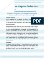 Terco Da Virgem Poderosa PDF