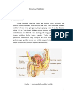 Laporan Kasus Hidrocele Dr Yusni 2