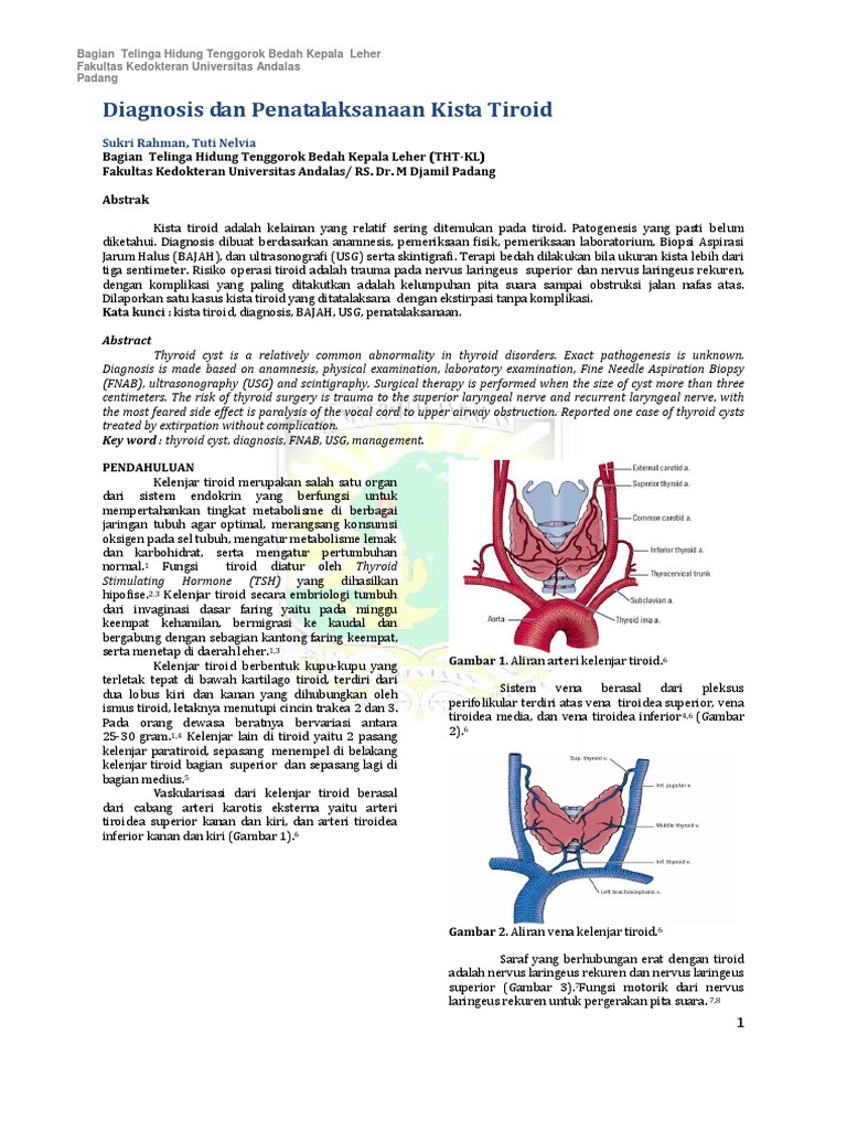 Pdf Hubungan Patofisiologi Hipertensi Dan Hipertensi Renal