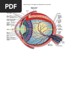 Konjungtivitis Vernalis