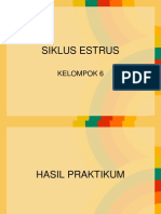 Siklus Estrus