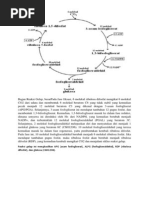 Bagan Reaksi Gelap Pdf