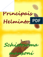 helmintos-091210111934-phpapp01