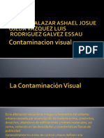 Contaminacion Visual 1