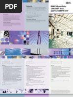 IBM ESB Portfolio: The Smart SOA Approach Starts Here