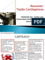 cartilago-111222180659-phpapp01