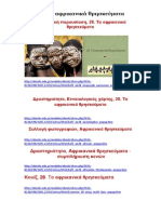 B' ΛΥΚΕΙΟΥ -ΚΕΦΑΛΑΙΟ Β' ΚΥΡΙΟΤΕΡΑ ΘΡΗΣΚΕΥΜΑΤΑ- ΠΑΡΟΥΣΙΑΣΕΙΣ - ΤΕΣΤ - ΚΟΥΙΖ ΑΠΟ ΤΟ ΨΗΦΙΑΚΟ ΣΧΟΛΕΙΟ