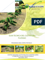 Guia Cultivo Platano 2011