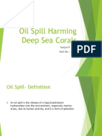 Oil Spill Harming Deep Sea Corals