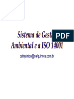 Aula 19 ZNBR Iso 14001 Apoio