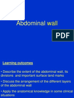 abdominal wall