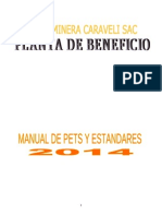 Manual de Procedimientos y Estandares 2014