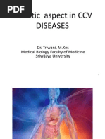 Genetic Aspect in CCV