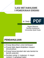 Regulasi Metabolisme Dalam Pemenuhan Energi