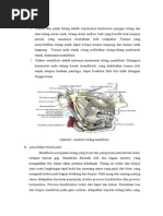 Download Lp Frakture Mandibula by Sofflow Apreggio SN214846554 doc pdf