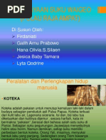 Download Sosiologi Kebudayaan Suku Waigeo Di kepulauan Raja Ampat by Lyta Qodrine Tjondronegoro SN214858165 doc pdf