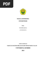 Download MAKALAH BIOKIMIA FOTOSINTESIS by Yudi Pramana SN214878542 doc pdf