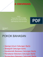 Batubara Cekungan Barito