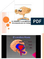 Cerebro y Alimentación