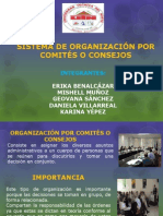 Organización Por Comites o Consejos