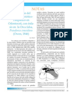 Descripción del Complejo Periótico-Timpánico en Odontoceti, con énfasis en Pseudorca crassidens