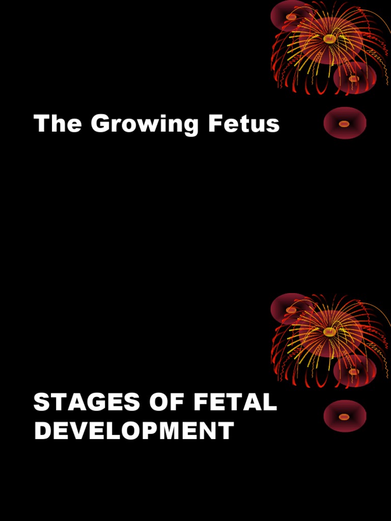 Stages of Fetal Development Explained | PDF | Placenta | Implantation ...