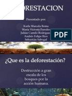 exposicion deforestacion