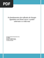 OS FUNDAMENTOS DA REFLEXÃO DE GIORGIO AGAMBEN EM HOMO SACER