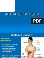 Anatomie Sistem DIGESTIV
