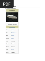 Download Fasciola Hepatica by Esty Nur Cahyanti SN214961876 doc pdf