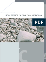 165585 FICHA Cal.pdf