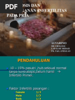 Download Infertilitas Pria by Indhysa SN214986830 doc pdf