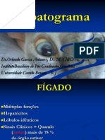 Hepatograma Felinos