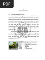 Download Aspergillus Niger by Dirayati Hanifah SN214999540 doc pdf