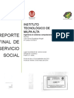 Servicio Social Reporte